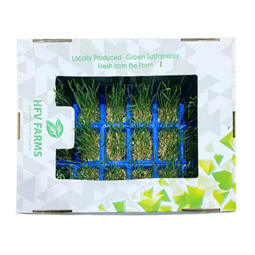 Wheatgrass Cress 18s UAE